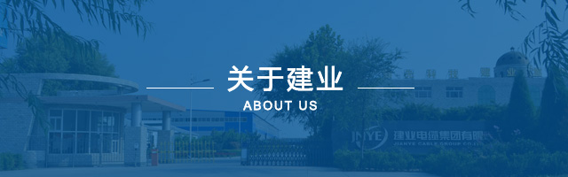 资质声誉-快盈VIII