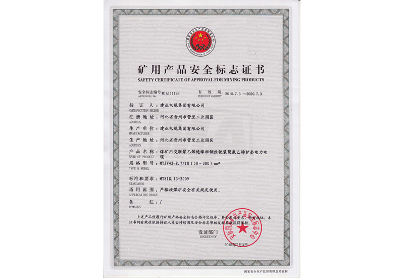 煤矿安标认证证书-快盈VIII