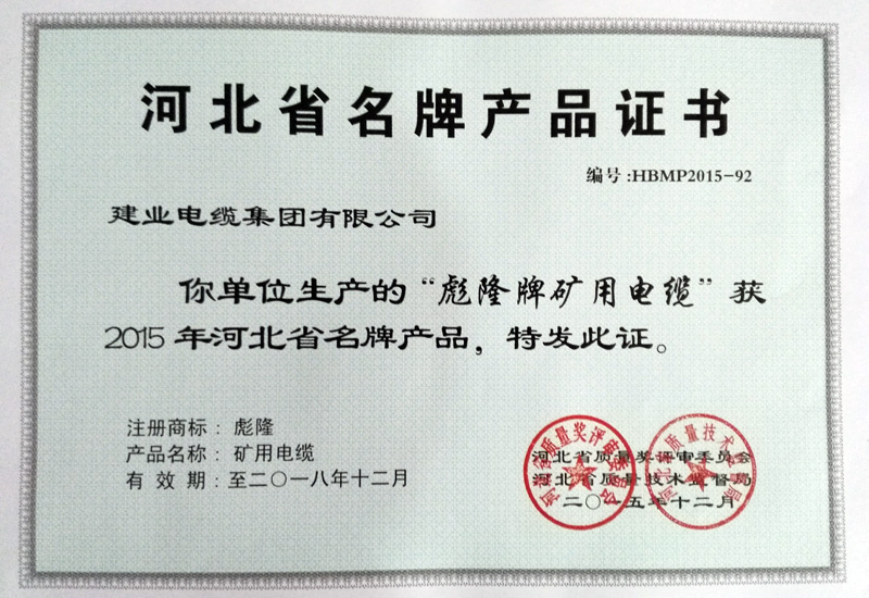 资质声誉-快盈VIII