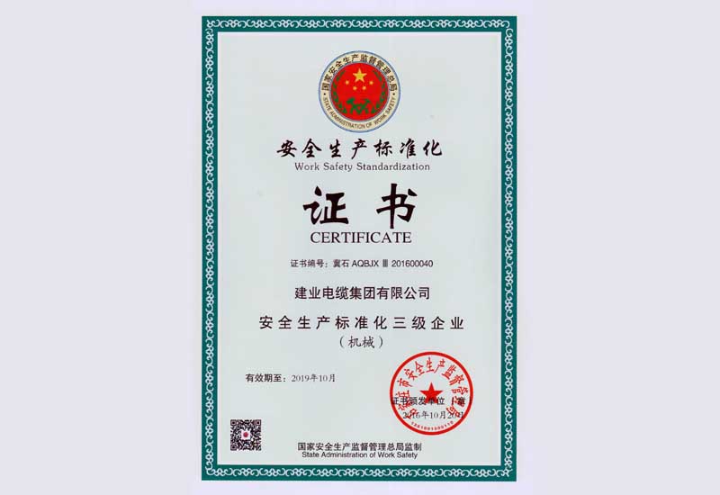 清静生产标准化证书-快盈VIII